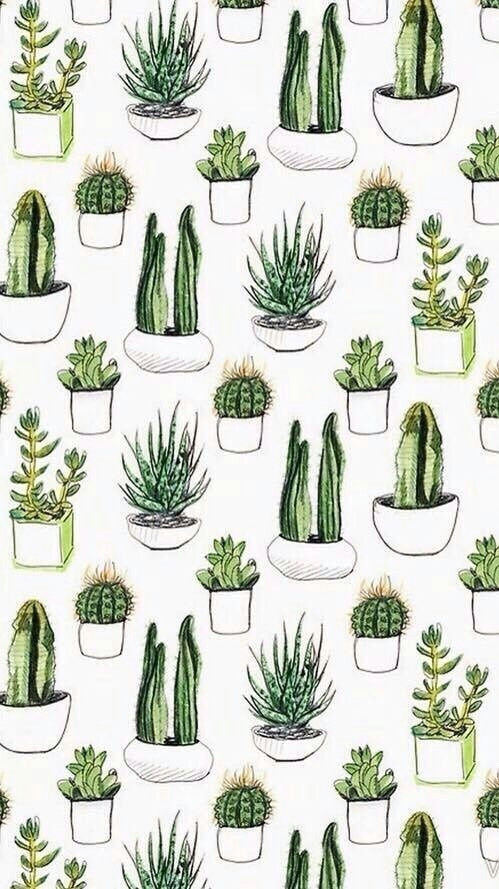 Tumblr Kaktus Drawing Cactus Succulents iPhone Wallpaper Background Lockscreen Photos
