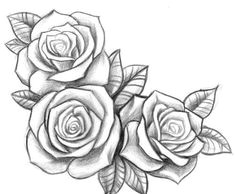 Types Of Roses Drawings Resultado De Imagen Para Three Black and Grey Roses Drawing Tattoo