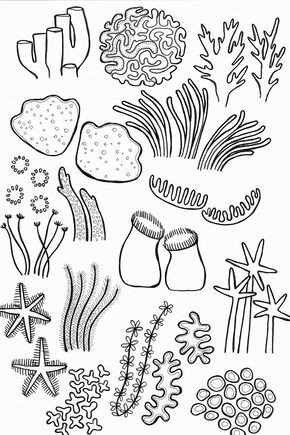 Underwater Drawing Ideas Drawing Underwater Coral Reef Drawings Pinterest Coral Reef