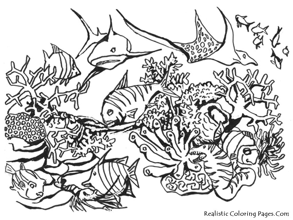 Underwater Drawing Ideas Underwater Drawing Free Download On Ayoqq org