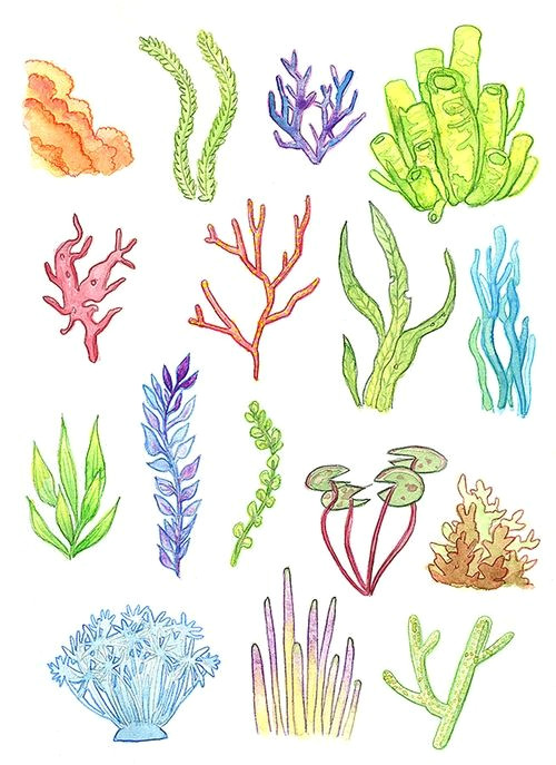 Underwater Drawing Ideas Underwater Plants Print Watercolor Painting Art Illustration