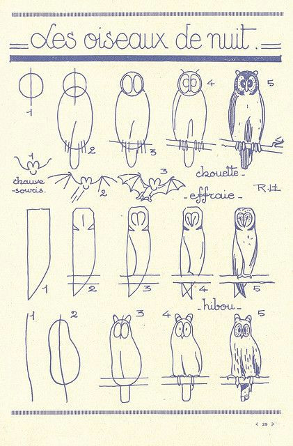 V Easy Drawing Les Animaux 13 Owl French Art and Art Tutorials