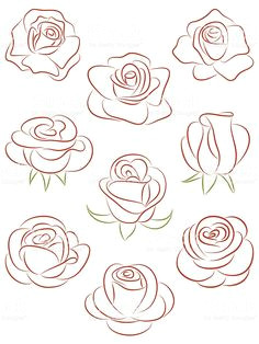 Vector Drawing Of A Rose 166 Best Rose Illustration Images In 2019 Flower Art Vintage