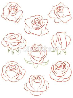 Vector Drawing Of A Rose 166 Best Rose Illustration Images In 2019 Flower Art Vintage