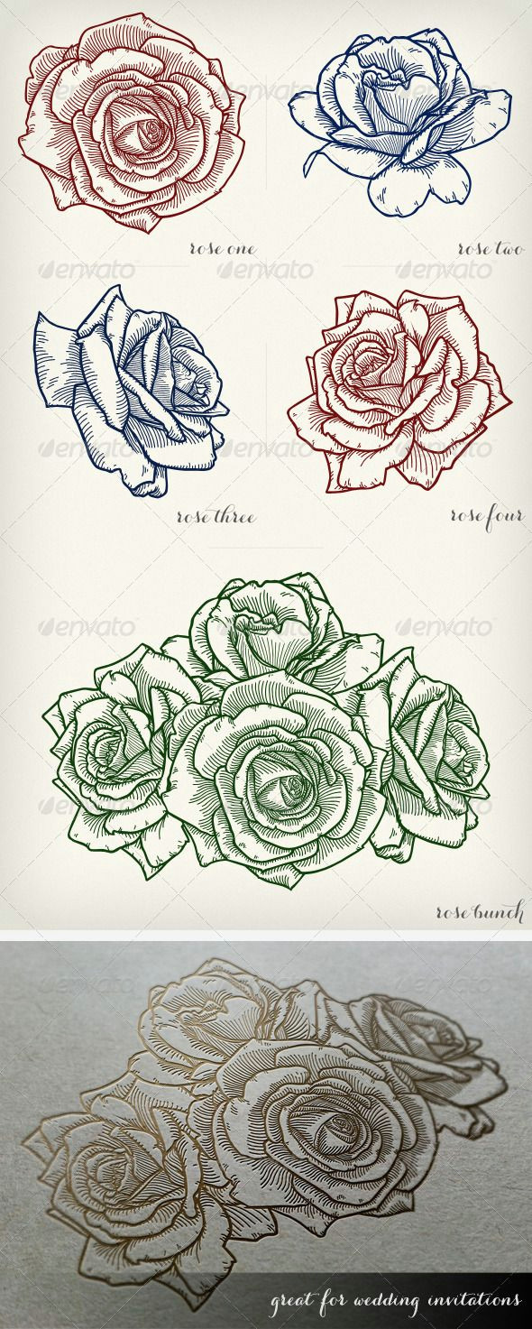 Vector Drawing Of A Rose Detailed Vector Roses Flowers Plants Nature Art In 2018