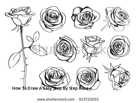 Vector Drawing Of A Rose How to Draw A Easy Step by Step Rose Roses Hand Drawn Set Black Line