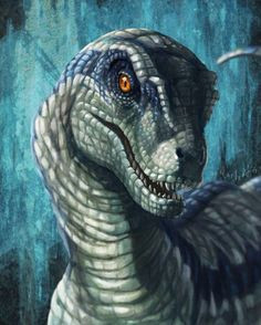 Velociraptor Drawing Tumblr 34 Best Blue the Velociraptora Images Blue Jurassic World