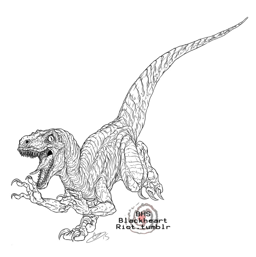 Velociraptor Drawing Tumblr Ausmalbilder Jurassic World Luxe Images Lego Jurassic World