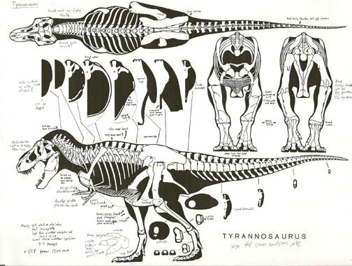 Velociraptor Drawing Tumblr Pin by Caitlin soliman On Dino Gram Anat Prehistoric Animals