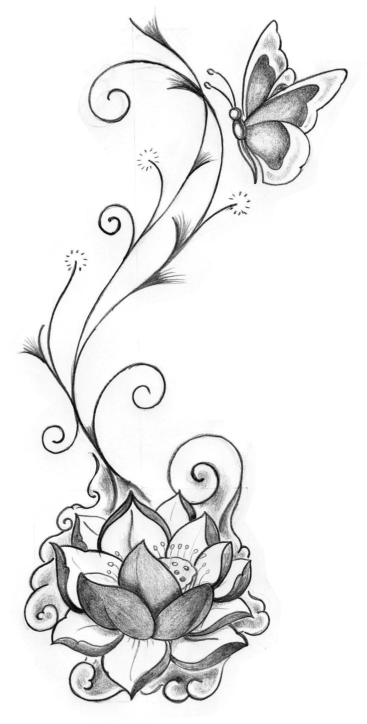 Violin Drawing Flowers butterfly and Flowers Pergamano Drawings Tattoos Art