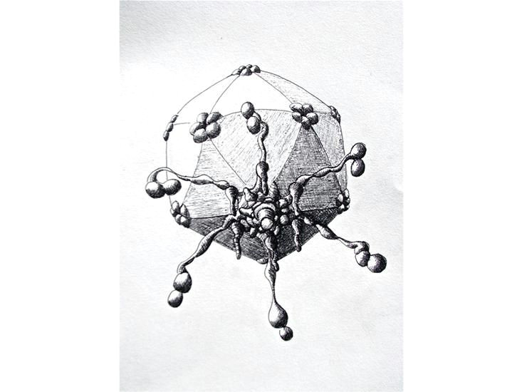Voice Drawing Tumblr New Drawings Show the Strange Beauty Of Phages the Bacteria Slayers
