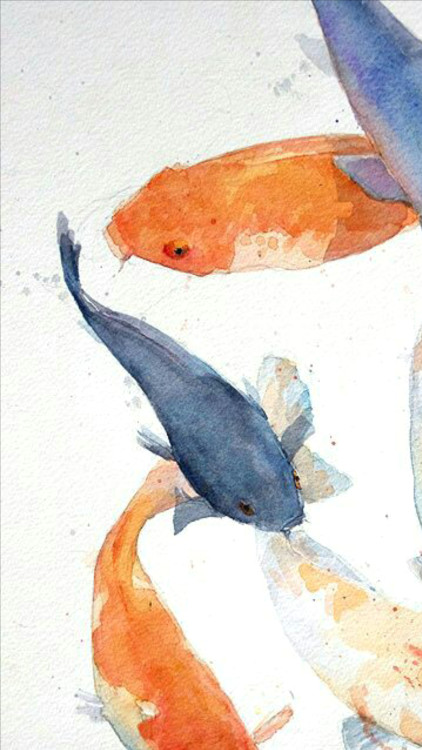Watercolor Drawing Tumblr Hand Picked Lockscreens Fish In 2019 Koi Fish Watercolor Art