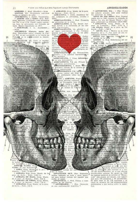 What Does Drawing Skulls Mean Wall Art Skull Book Print Death Means Nothing to Us Dictionary Book