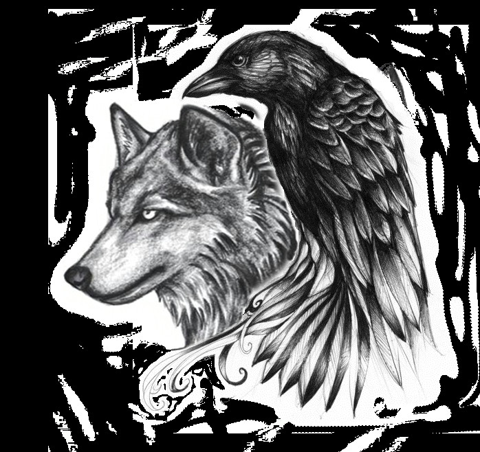 Wolf Directed Drawing Ravenwolf Google Search Adelle Leclair Tattoos Raven Tattoo