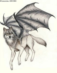 Wolf Dragon Drawing 347 Best Wolf within Images Wolf Drawings Wolves Wolf Pictures