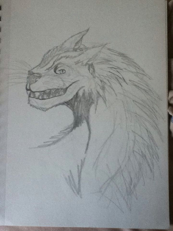 Wolf Dragon Drawing A Drawing Of A Wolf Dragon I Did My Anime Furries Other Drawings I