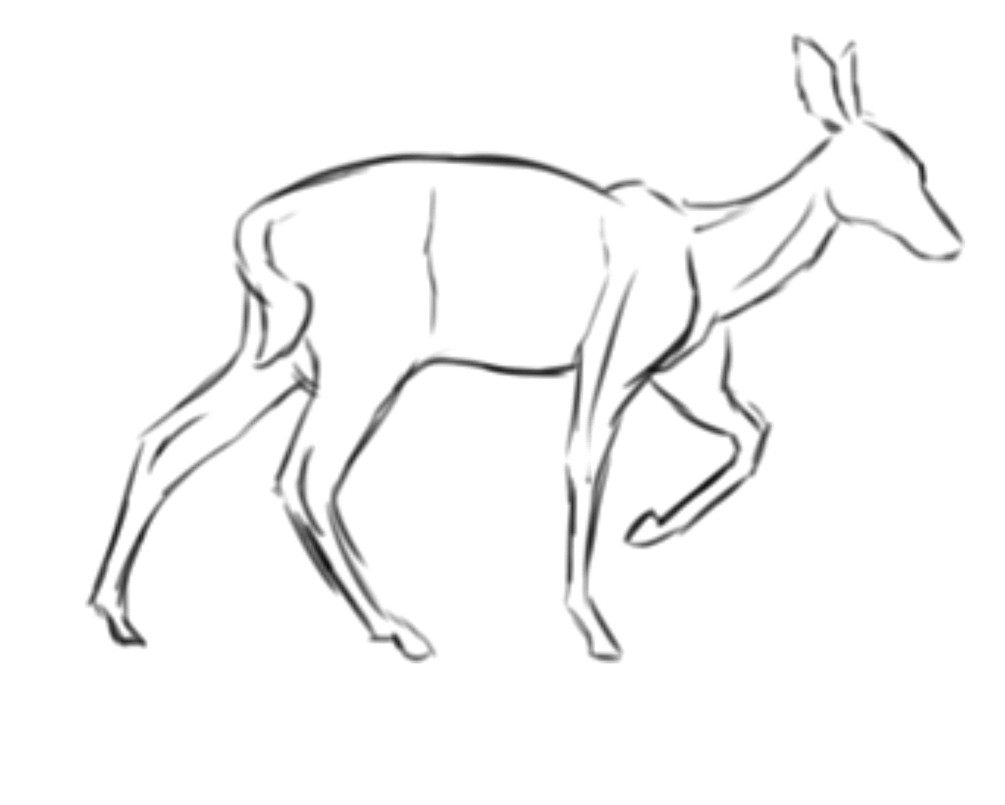Wolf Drawing Animation Gif Deer Gif On Gifer by Tygonris
