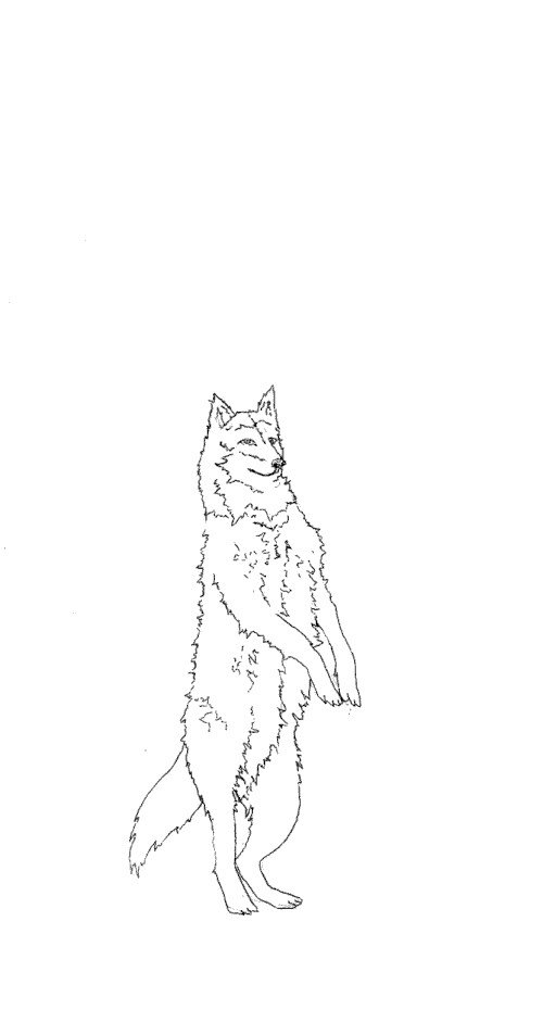 Wolf Drawing Animation Gif Iris Gottlieb