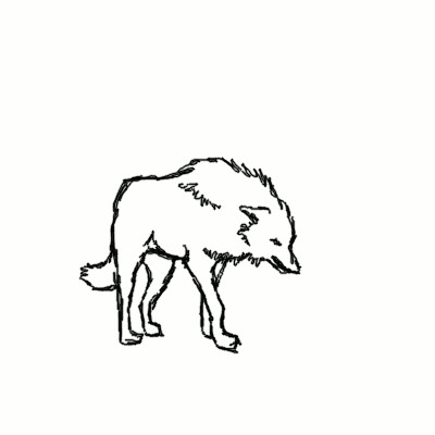 Wolf Drawing Animation Gif Wolves Gif On Gifer by Saithirin