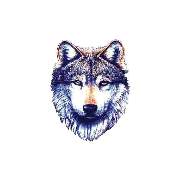 Wolf Drawing Background Wolf Tattoo A Wolf Tattoos Tribal Wolf Tattoo A Liked On Polyvore