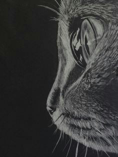 Wolf Drawing Black Paper 120 Best White On Black Drawings Images Black Paper Drawing White