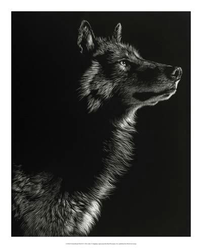 Wolf Drawing Black Paper Scratchboard Wolf Iiby Julie Chapman In 2019 Products