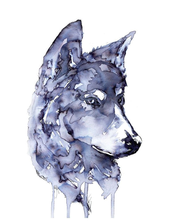 Wolf Drawing Blue Pin by Jenny Plott On Painting In 2019 Art Watercolor Painting