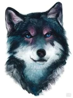 Wolf Drawing Blue Pin by Lori Blue On Wolf Art In 2018 Pinterest Art Wolf and