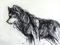 Wolf Drawing Charcoal 2712 Best Charcoal Drawings Images In 2019