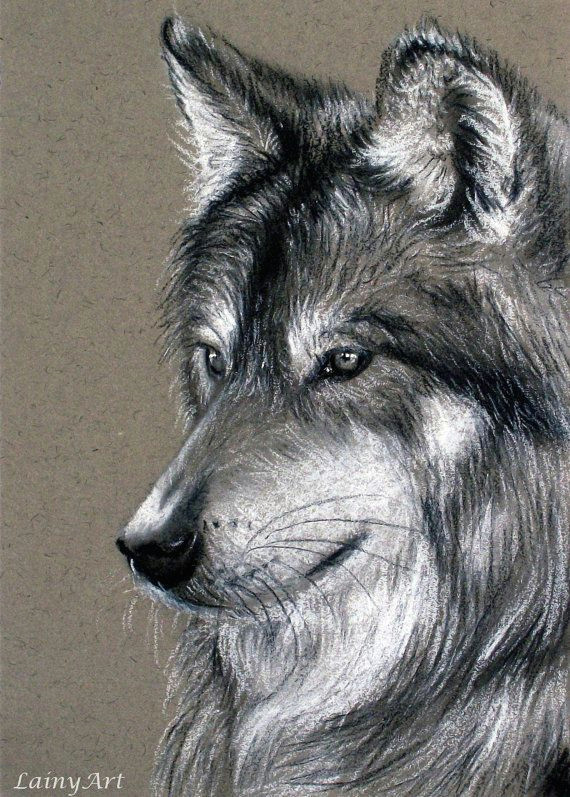 Wolf Drawing Charcoal Lainy Art Lainyart On Pinterest