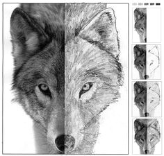 Wolf Drawing Class 109 Best Wolf Images Wolf Drawings Art Drawings Draw Animals