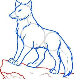 Wolf Drawing Class 8 Best Drawing Images Drawing S Drawings Anime Wolf
