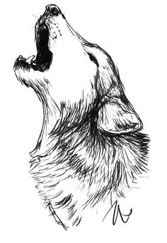 Wolf Drawing Color Easy Howling Wolf Tattoo Change the Moon to Our Dream Catcher Behind the