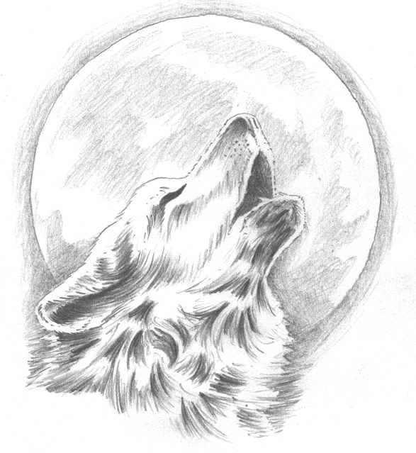 Wolf Drawing Color Easy Howling Wolf Tattoo Change the Moon to Our Dream Catcher Behind the