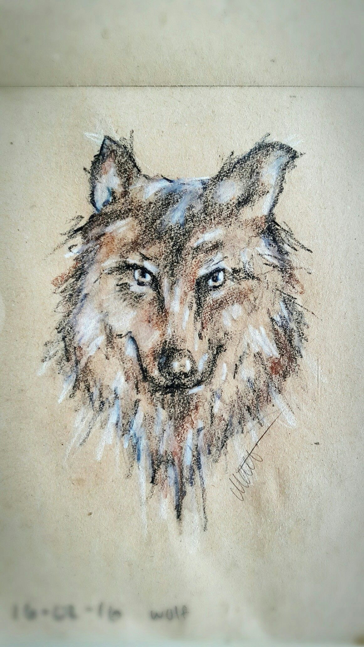 Wolf Drawing Colorful Wolf Drawing In Crayons Art Drawings Crayon Drawings