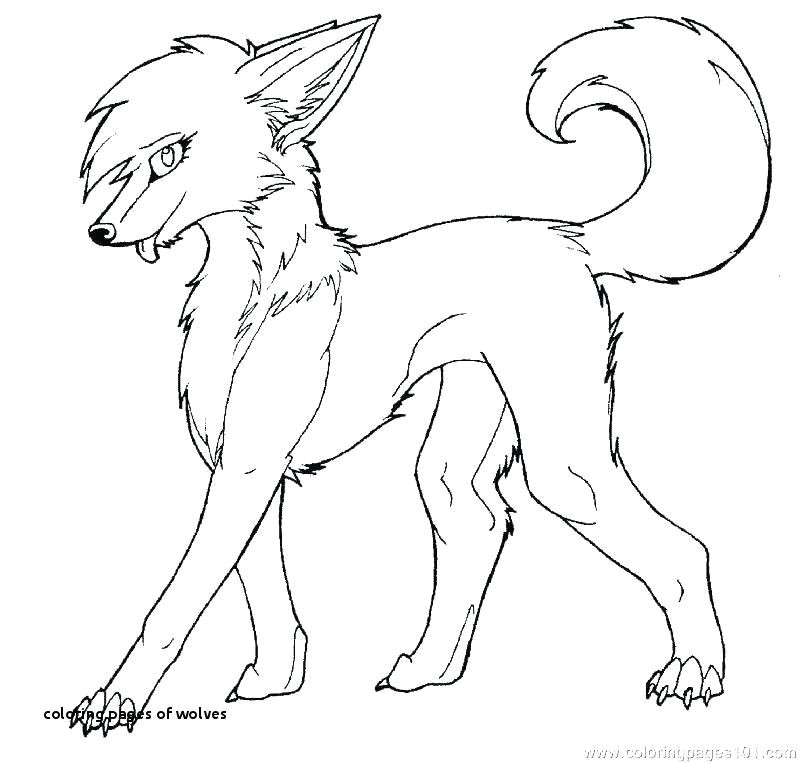 Wolf Drawing Colour 10 Luxury Anime Wolf Coloring Pages Coloring Page