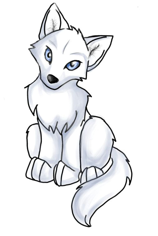 Wolf Drawing Easy Cute Amy Collacchi Amycollacchi On Pinterest