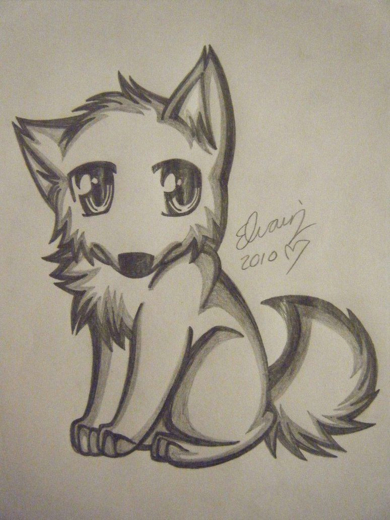 Wolf Drawing Easy Cute Drawings Of Wolves Wolf Drawing 4 by Animefan1863 On Deviantart