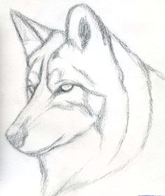 Wolf Drawing Easy Face 824 Best Sketches Images In 2019 Tattoo Drawings Chicano Tattoos