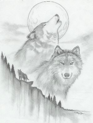 Wolf Drawing Easy Face Sketches Of Wolf Cool Drawings Of Wolves Wolf Sketch by Vassago
