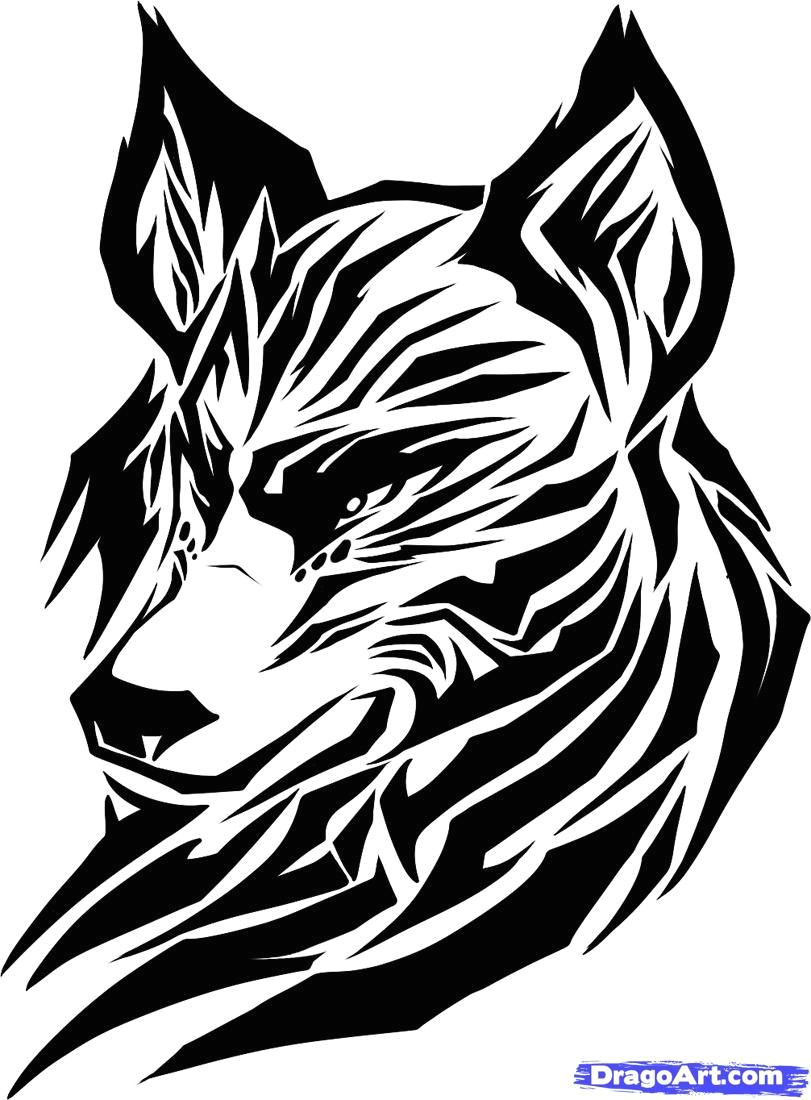 Wolf Drawing Easy Head Draw A Tribal Wolf Tribal Wolf Step by Step Drawing Sheets