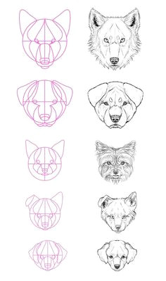 Wolf Drawing Easy Step by Step Malen Zeichnen Kunst In 2019 Pinterest Drawings Pencil