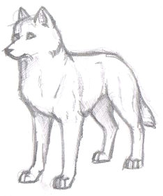 Wolf Drawing for Beginners Pin by Sarah On Drawing Animals Drawings Pencil Drawings Animal
