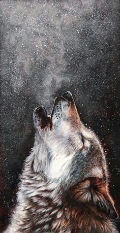 Wolf Drawing for Nursery 14 Best Wolf Howling at Moon Images Wolf Howling Wolf Drawings