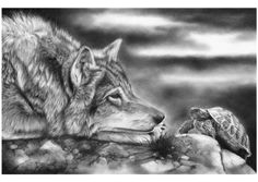 Wolf Drawing for Sale 180 Best Wolf Drawings Images Drawing Techniques Drawing