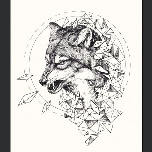 Wolf Drawing for Sale Added some Prints to My Shop Starting From A 5 50 In My Sale Check