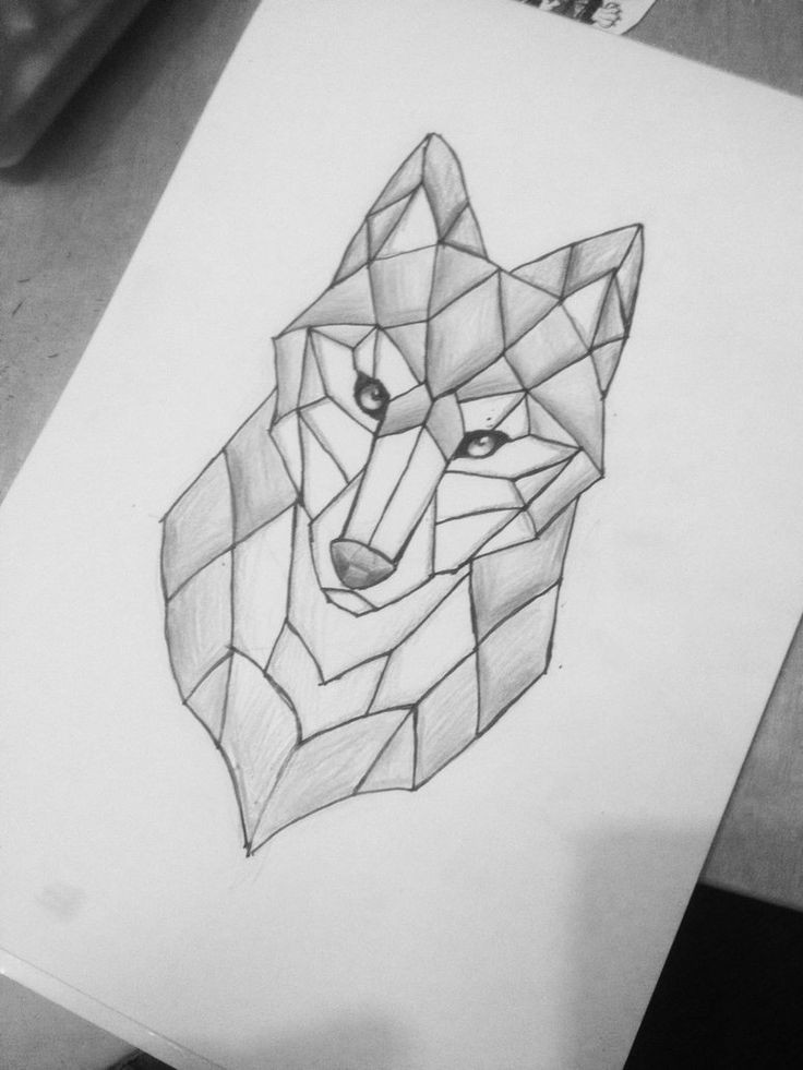 Wolf Drawing Geometric Nana Wolff Nadineanitawolf On Pinterest