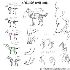 Wolf Drawing Guide 109 Best Wolf Images Wolf Drawings Art Drawings Draw Animals