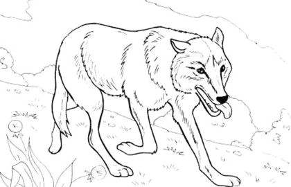 Wolf Drawing Hard Free Difficult Coloring Pages Unique 50 Image Hard Coloring Pages