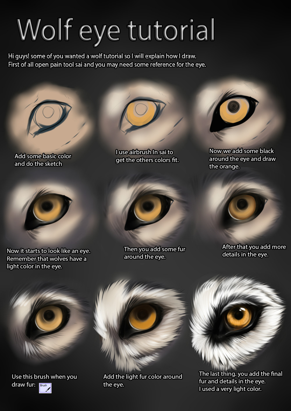 Wolf Drawing In Color Wolf Eye Tutorial by themysticwolf Deviantart Com On Deviantart
